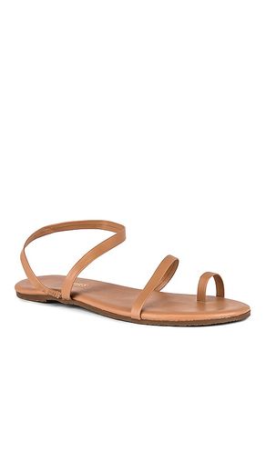 SANDALES MIA NAPA en . Taille 6. Also en 7, 8, 9, 10 - TKEES - Modalova