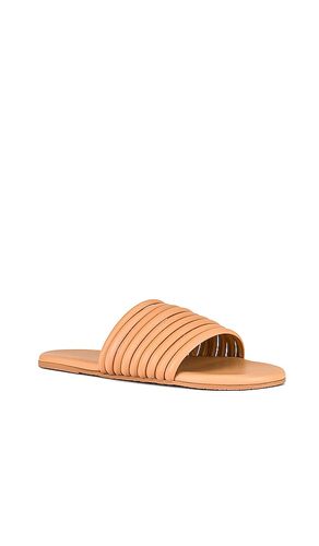 SANDALES CARO en . Taille 5. Also en 6 - TKEES - Modalova