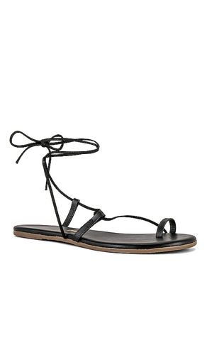 SANDALES JO en . Taille 6. Also en 7, 8, 9, 10, 11, 5 - TKEES - Modalova