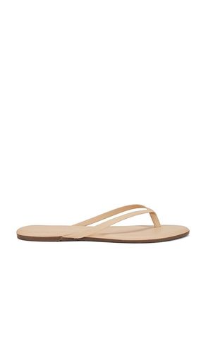 TONGS LILY en . Taille 6. Also en - TKEES - Modalova
