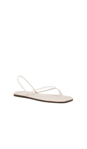 SANDALES SQUARE TOE MILLIE en . Taille 7. Also en 8 - TKEES - Modalova