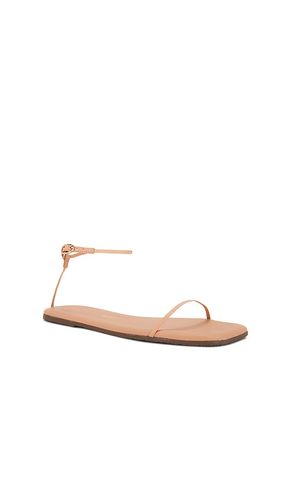 SANDALES SQUARE TOE TWIGGY en . Taille 10. Also en 11, 5, 6, 7, 8, 9 - TKEES - Modalova