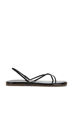 SANDALES MILLIE en . Taille 7. Also en 8, 9, 10 - TKEES - Modalova