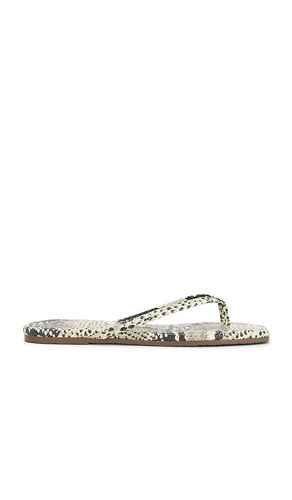 SANDALES SQUARE TOE LILY en . Taille 7. Also en 8, 9 - TKEES - Modalova