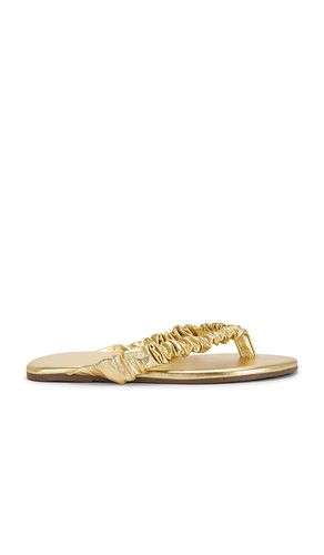 SANDALES SAVANNA en . Taille 6. Also en 7, 9 - TKEES - Modalova