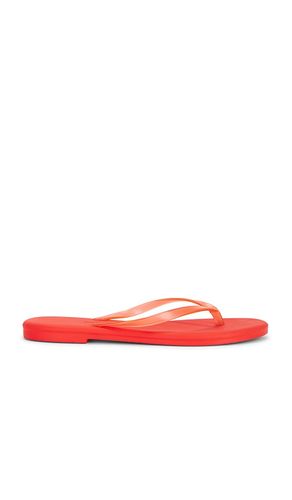 SANDALES AQUA en . Taille 5. Also en 6, 7, 9 - TKEES - Modalova