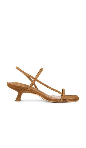 ESCARPINS TIFFANY en . Taille 6. Also en 7, 7.5 - Tony Bianco - Modalova
