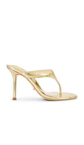 ESCARPINS DYNASTY en . Taille 7. Also en 7.5, 9 - Tony Bianco - Modalova