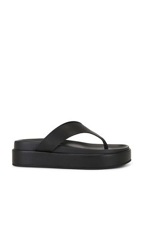 SANDALES JETTA en . Taille 37. Also en 38, 40, 41 - Tony Bianco - Modalova
