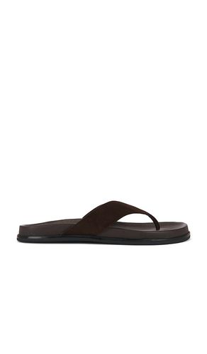 TONGS LOOP en . Taille 37. Also en 36 - Tony Bianco - Modalova