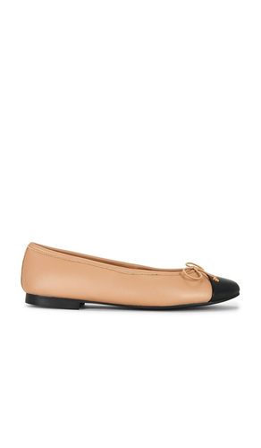 PLAT CAPPA en . Taille 5. Also en 5.5, 6, 6.5, 7, 7.5, 8, 8.5, 9, 9.5, 10, 11 - Tony Bianco - Modalova