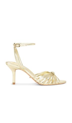 SANDALE À TALON ET BRIDE CHEVILLE HALIEY en . Taille 6. Also en 5.5, 7.5, 8.5 - Tony Bianco - Modalova