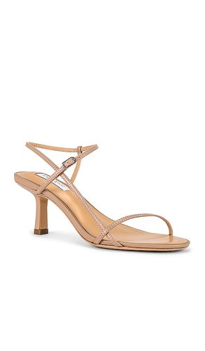 SANDALES CAPRICE en . Taille 6. Also en 5, 5.5, 7, 8.5 - Tony Bianco - Modalova