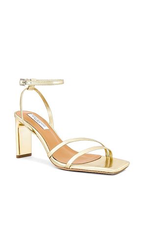 ESCARPINS CORSO en . Taille 6. Also en 5.5, 6.5, 7 - Tony Bianco - Modalova