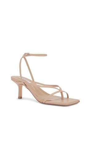 SANDALES AVI en . Taille 6. Also en 5, 5.5, 7 - Tony Bianco - Modalova
