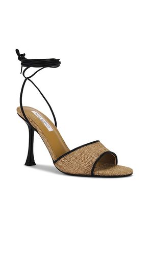 ESCARPINS LAMAR en . Taille 6. Also en 5.5, 6.5, 7, 8, 8.5, 9, 9.5, 10 - Tony Bianco - Modalova