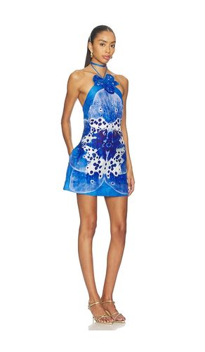 ROBE EVERLEE en . Taille 2. Also en 6, 8 - AMUR - Modalova