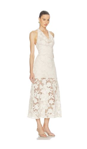 ROBE CALYPSO en . Taille 0. Also en 10, 12, 2, 4, 6, 8 - AMUR - Modalova