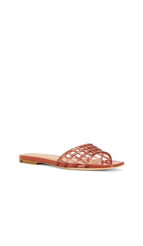 Maris Jelly Sandal en . Taille 6.5. Also en 7, 8 - Veronica Beard - Modalova
