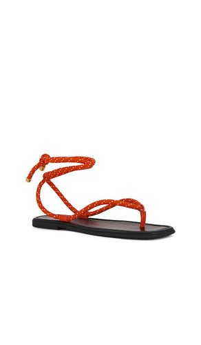 SANDALES CARMINA CORD en . Taille 5. Also en 6, 7, 8 - Veronica Beard - Modalova