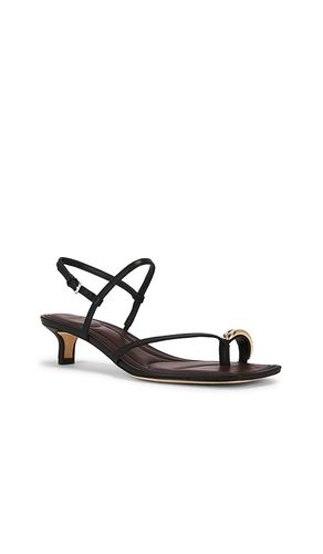 ESCARPINS POLLI KITTEN en . Taille 6. Also en 6.5, 7, 8, 8.5, 9, 9.5, 10 - Vince - Modalova