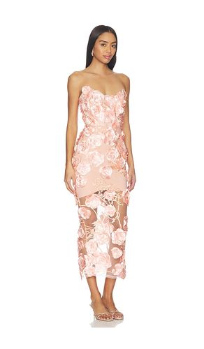 ROBE DREAM OF THAT en . Taille 2. Also en 0, 12 - Zhivago - Modalova