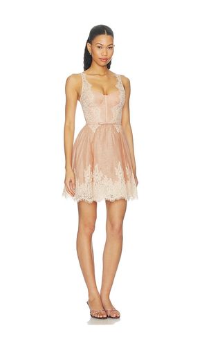 ROBE VALIANT LACE TRIM MINI en . Taille 0/XS. Also en 1/S, 2/M, 3/L, 4/XL - Zimmermann - Modalova