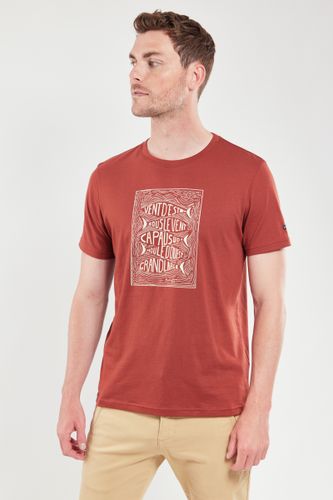 T-shirt sérigraphié vent d'est - coton léger - ARMOR LUX FR - Modalova