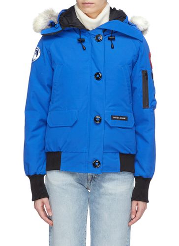 PBI Chilliwack' down bomber jacket - CANADA GOOSE - Modalova