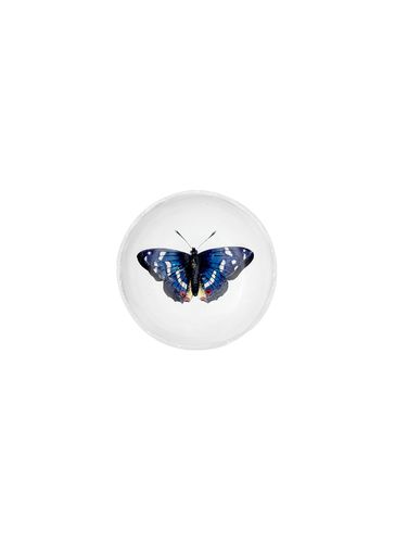 Butterfly Dish - ASTIER DE VILLATTE - Modalova