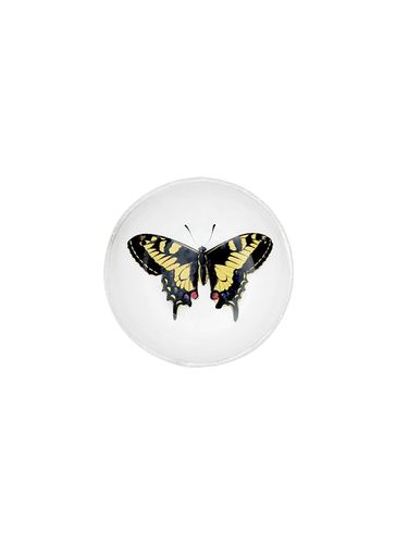 Small Yellow Butterfly Dish - ASTIER DE VILLATTE - Modalova