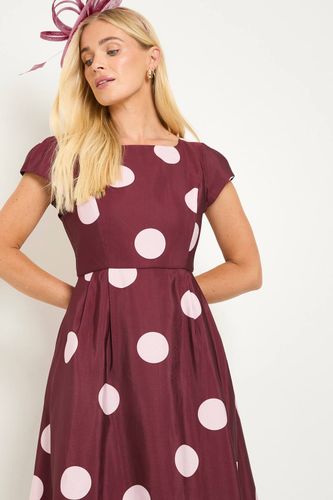 Robe Midi Cintrée Évasée À Pois Ottoman Petite Taille | Taille 48 - Wallis - Modalova