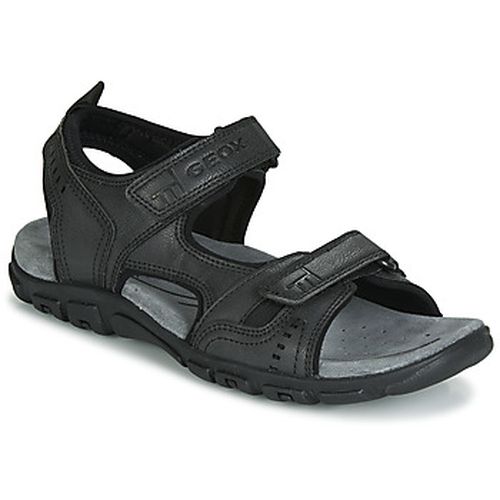 Sandales Geox UOMO SANDAL STRADA - Geox - Modalova