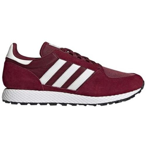 Baskets basses adidas Forest Grove - adidas - Modalova