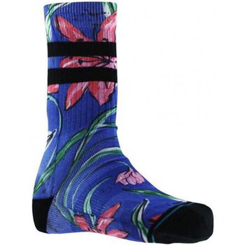 Chaussettes Chaussettes WAIPOUA - Stance - Modalova