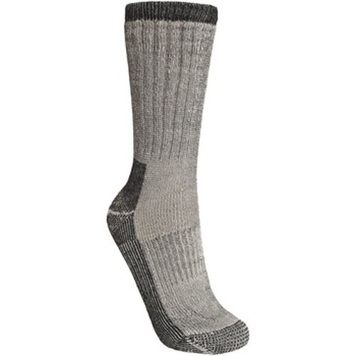 Chaussettes Trespass TP320 - Trespass - Modalova