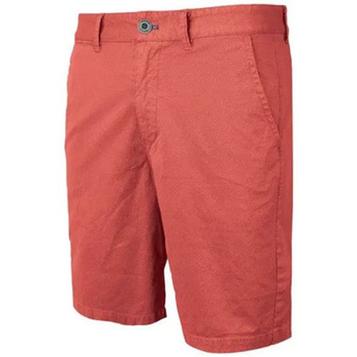 Short Waxx Short Chino SUNLIT - Waxx - Modalova