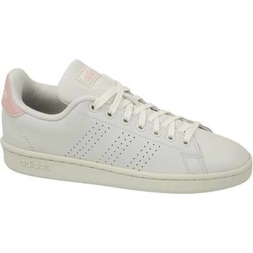 Baskets basses adidas Advantage - adidas - Modalova