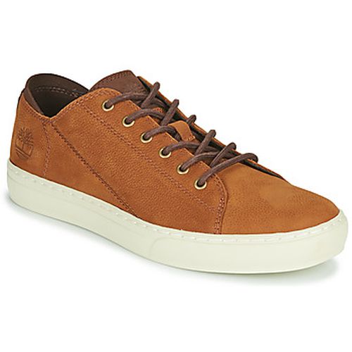 Baskets basses ADV 2.0 CUPSOLE MODERN OX - Timberland - Modalova