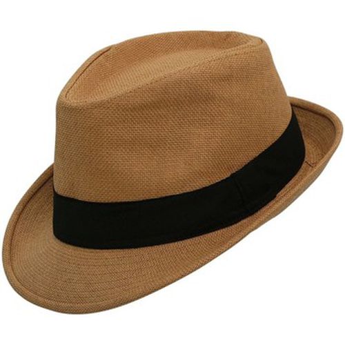 Chapeau Chapeau trilby BRAD T56 - Chapeau-Tendance - Modalova