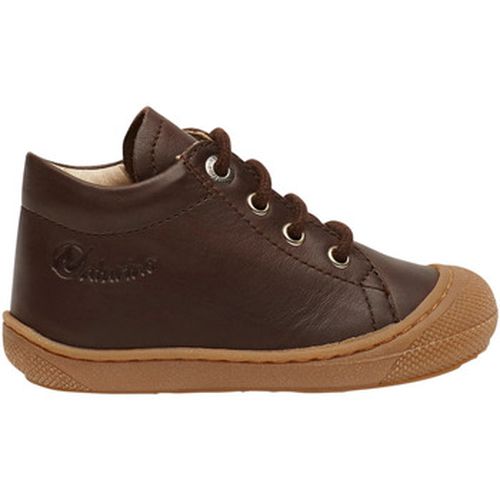 Derbies Chaussures premiers pas en cuir COCOON - Naturino - Modalova