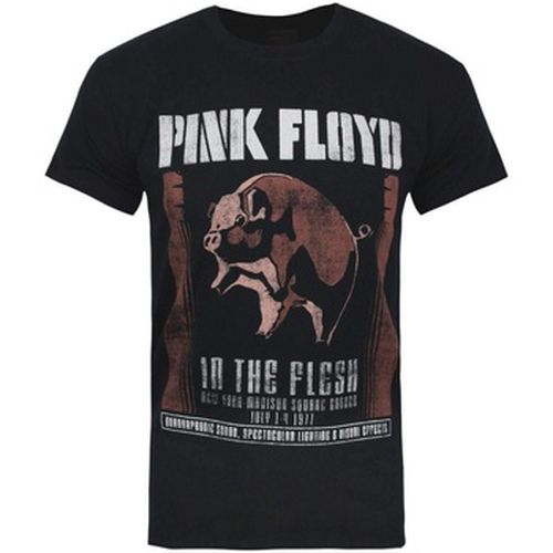 T-shirt Pink Floyd NS4024 - Pink Floyd - Modalova