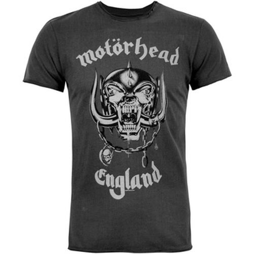 T-shirt Amplified England - Amplified - Modalova