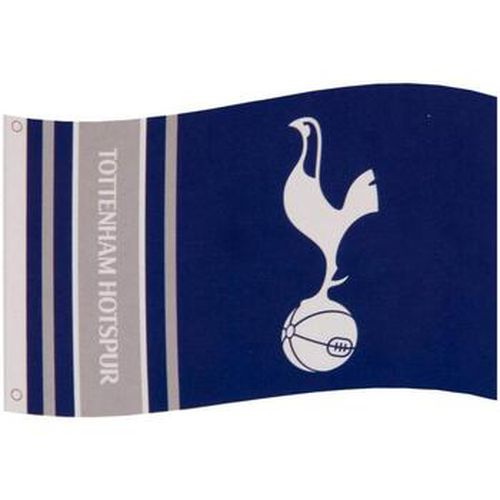 Accessoire sport - Tottenham Hotspur Fc - Modalova