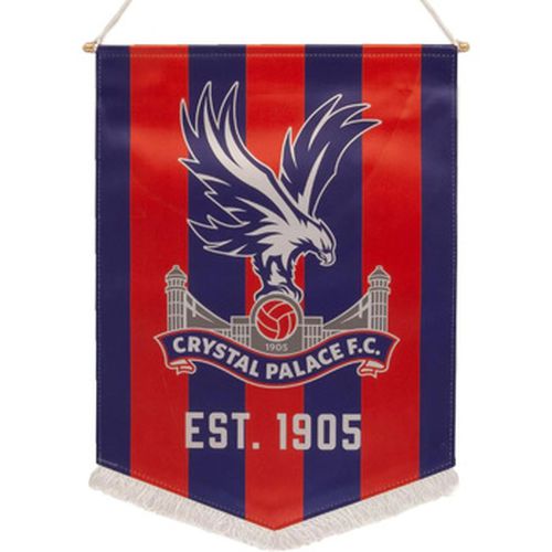 Accessoire sport - Crystal Palace Fc - Modalova