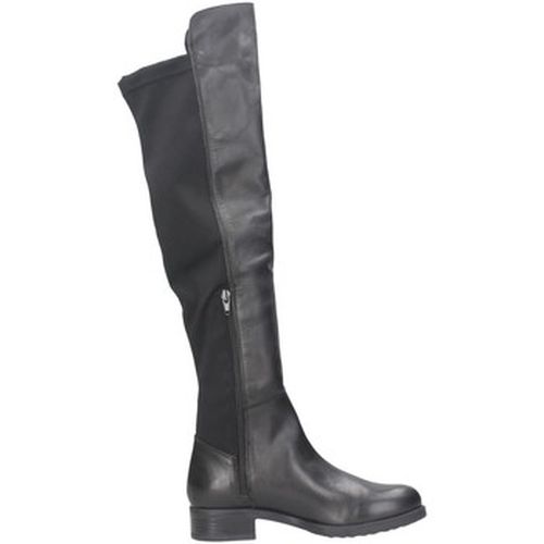 Bottines Pregunta BA529 - Pregunta - Modalova