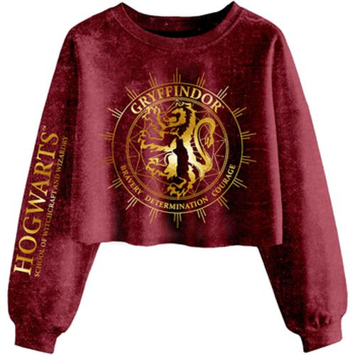 Sweat-shirt Gryffindor Constellation - Harry Potter - Modalova