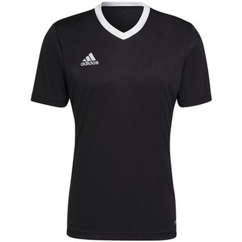 T-shirt adidas Entrada 22 - adidas - Modalova