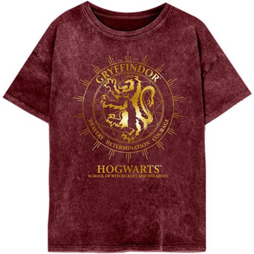 T-shirt Gryffindor Constellation - Harry Potter - Modalova