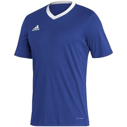 T-shirt adidas Entrada 22 - adidas - Modalova